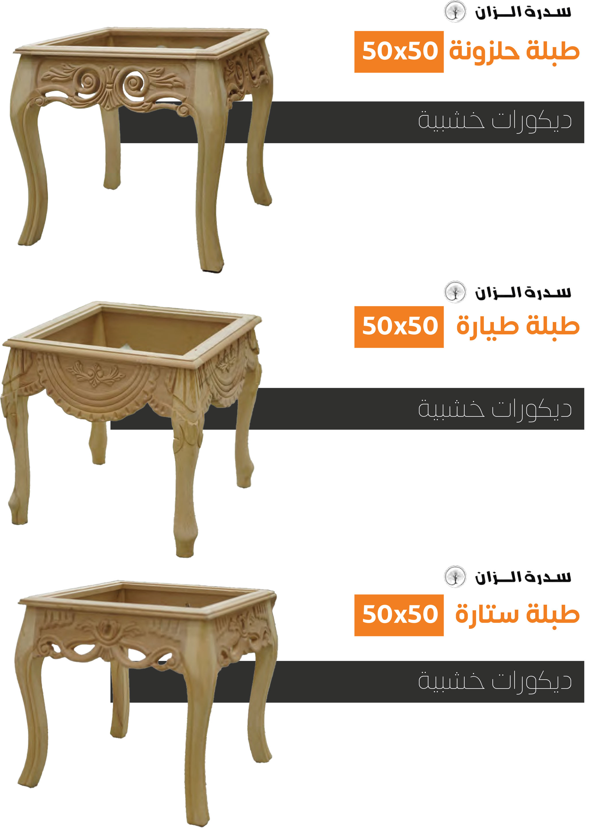صفحة 13